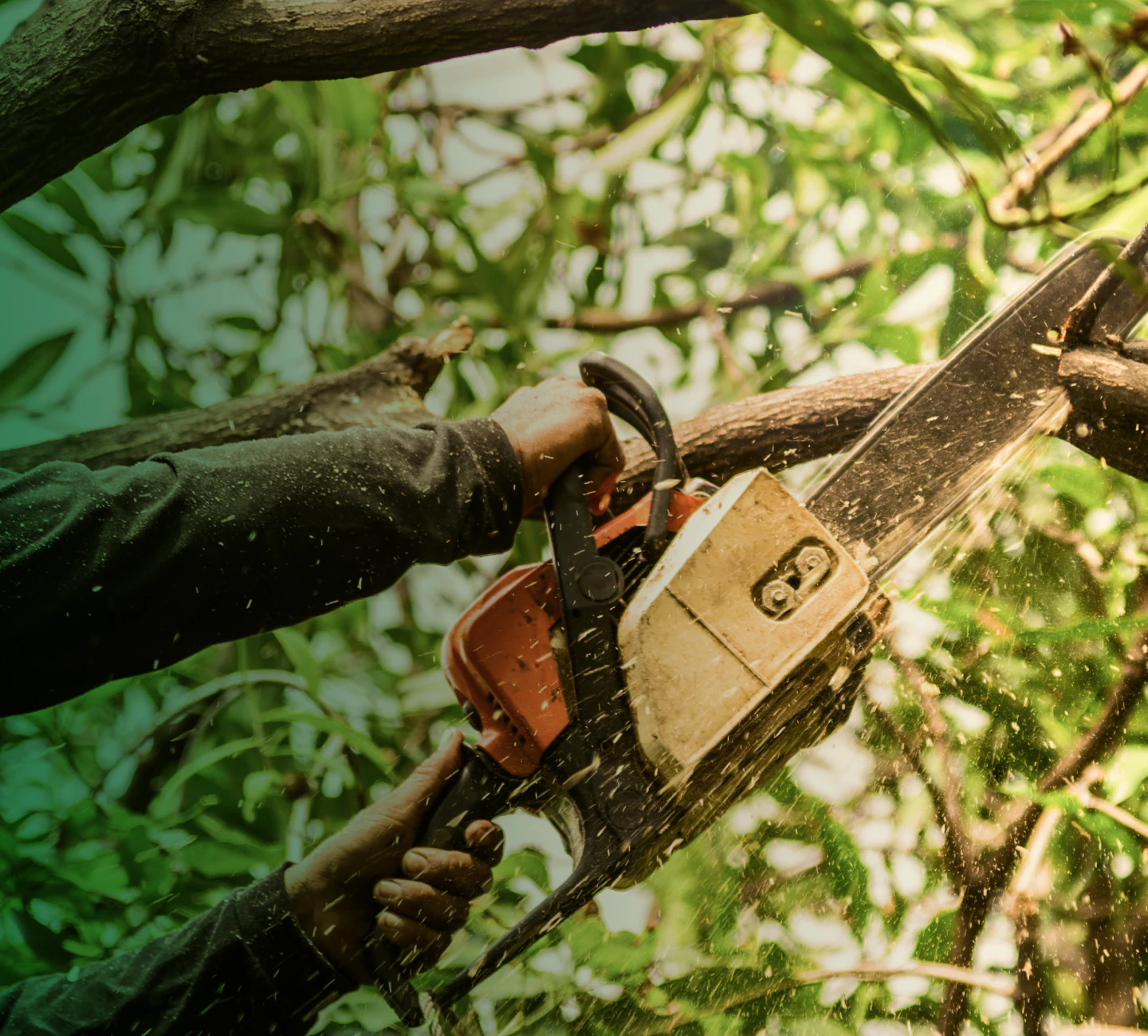 chainsaw used for tree services Broad Brook CT